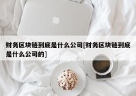 财务区块链到底是什么公司[财务区块链到底是什么公司的]